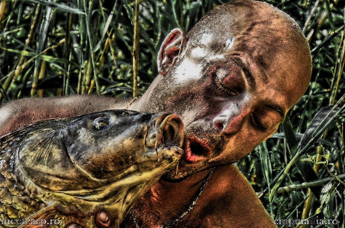 Meet Carp Romanian Awards - 2012 - 1007117-hdrmode3.jpg